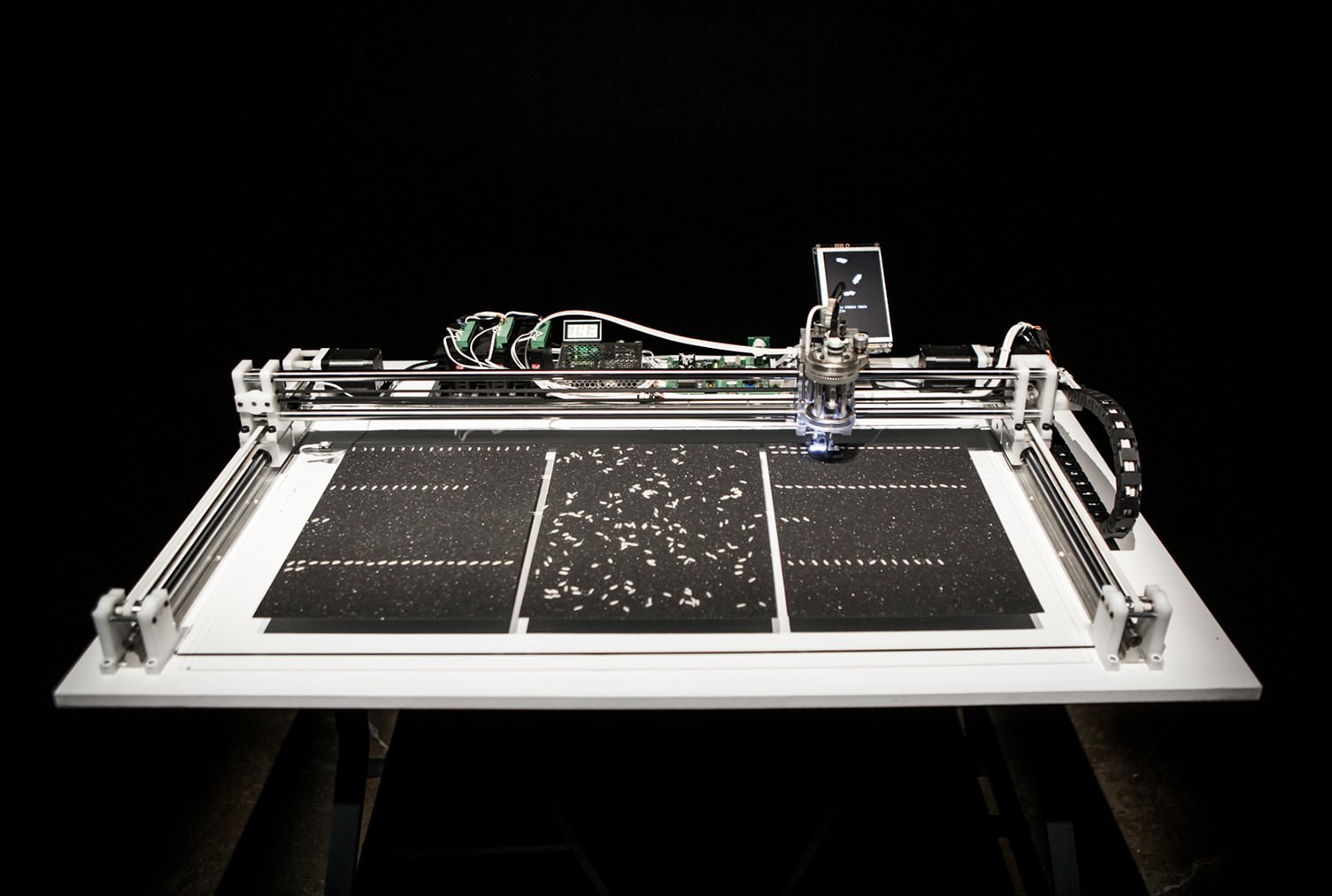 Prosperity II (2020)