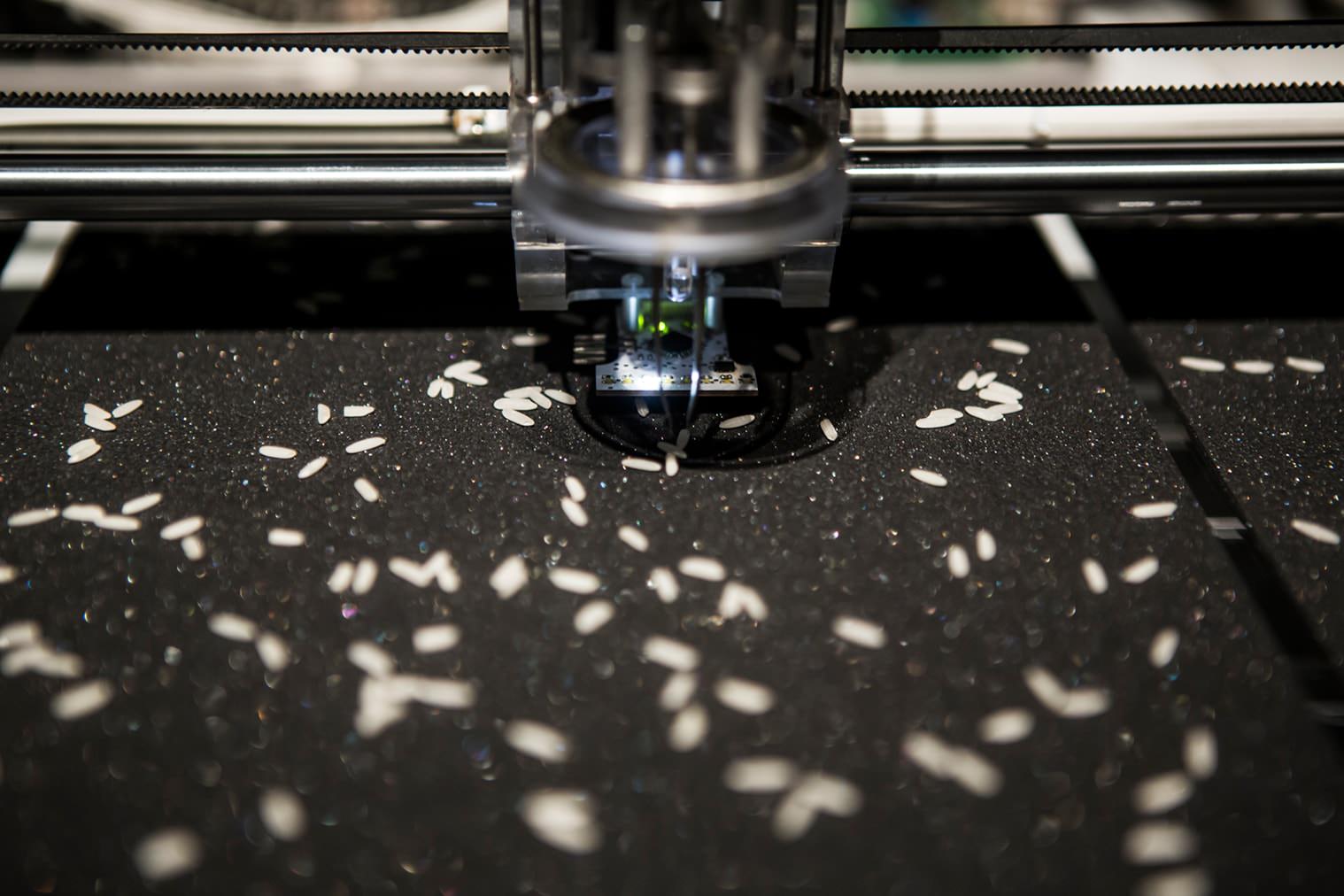 Prosperity II (2020)